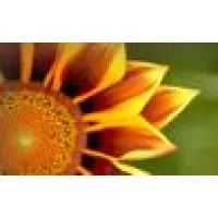 County Line Landscape Nursery