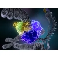 Certified Genetool, Inc Certified Genetool, Inc