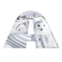 Axalta Color of the Year