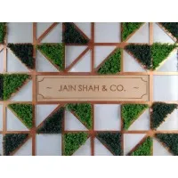 Jain Shah & Company