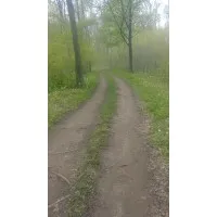 Pathways To Connection Pathways To Connection