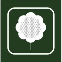 HighGrain EA Consultants