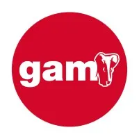 GAM - Solutions email format