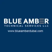 Blue Amber Technical Services LLC Blue Amber Technical Services LLC