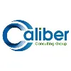 Caliber Consulting Group, LLC Caliber Consulting Group, LLC