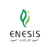 Enesis Group Enesis Group