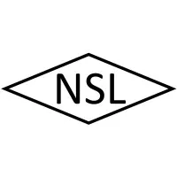 Naina Semiconductor Ltd.