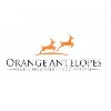 Orange Antelopes Orange Antelopes
