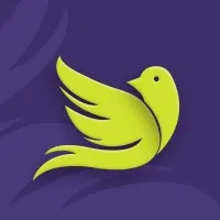 Skylarks IT Solution Pvt Ltd