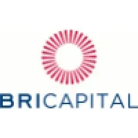 Bricapital