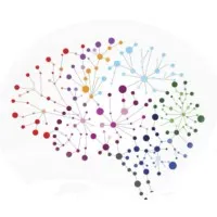 Cognitive Stars