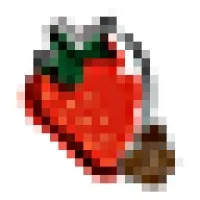 Beans N Berries email format