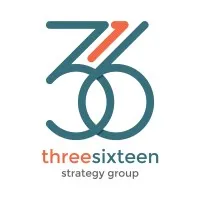 316 Strategy Group