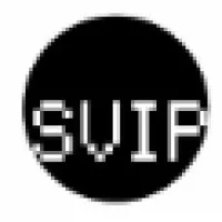 Silicon Valley Internship Programme