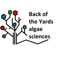 Back of the Yards algae sciences (BYAS)