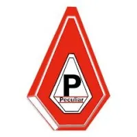 Peculiar Ultimate Concerns Ltd