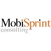 MobiSprint Consulting MobiSprint Consulting