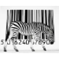 MJ Consulting MJ Consulting