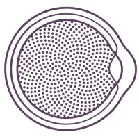New York Ophthalmology