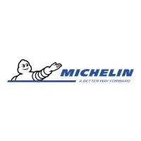 Michelin Lanka (Private) Limited email format