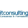 Itconsulting Itconsulting