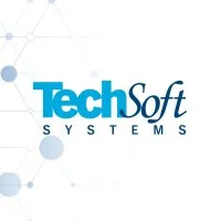 TechSoft Systems