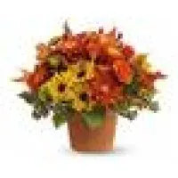 Rodier Flowers Rodier Flowers