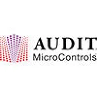 AUDIT MicroControls, Inc
