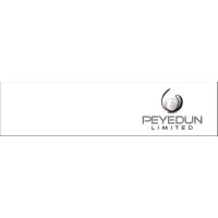 Peyedun Limited