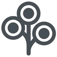 ZoLi Inc.
