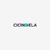 Cicindela Solutions Cicindela Solutions