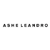 ASHE LEANDRO LLC ASHE LEANDRO LLC