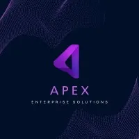 APEX  ENTERPRISE SOLUTIONS