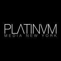 PLATINUM MEDIA LLC PLATINUM MEDIA LLC