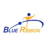 Blue Ribbon Global Technologies Blue Ribbon Global Technologies