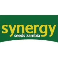 Synergy Seeds Zambia