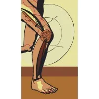 ADAPTIVE PROSTHETICS & ORTHOTICS LLC