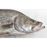 Mainstream Aquaculture Group