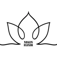 Negin Elixir Foods Company