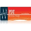 Pulse Directional Technologies Inc Pulse Directional Technologies Inc