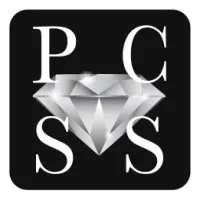 Probe Concierge & Security Services Limited