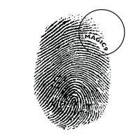 Magic9 Media & Consumer Knowledge Pvt. Ltd.