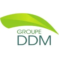 Groupe DDM