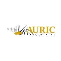 Auric Mining