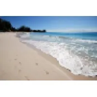 In search of Investors for Boat tour business in Barbados