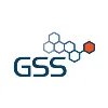 GSS GSS