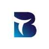 Berger Tech Consulting Limited Berger Tech Consulting Limited