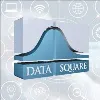 Data Square Data Square
