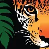 Rainforest Trust