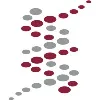 GigaGen Inc GigaGen Inc